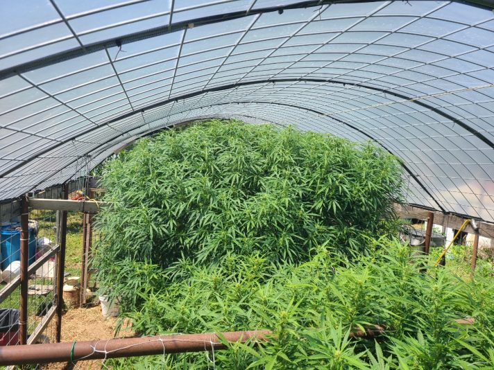 03f6dda5-324a-4151-a5d5-ba5739210788