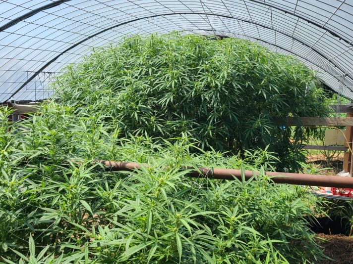 d4af23a8-5724-4cfc-8cfc-525d7dfb2d36