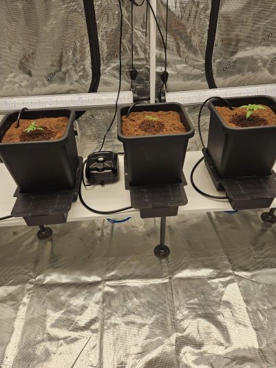 Granite Haze f6 Aug 22 2025