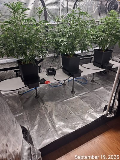 Granite Haze f6 Sep 19 2025