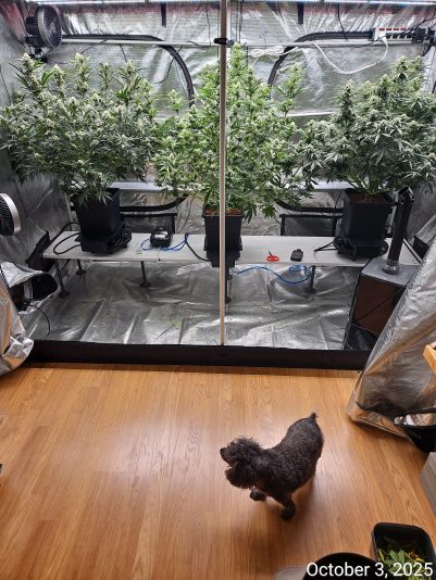 Granite Haze f6 Oct 3 2025