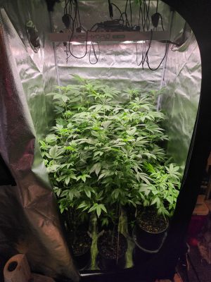 2025-10-1610.52.026882079661824193267