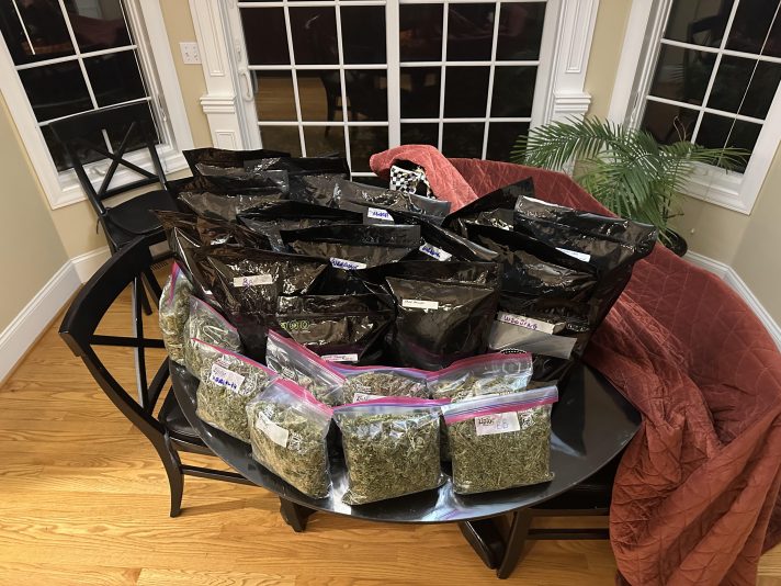 10-28-25 Final tally