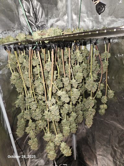 Granite Haze f6 Oct 28 2025 2