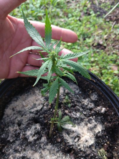 fd701fe5-0bfa-4f44-8c55-4ae3d259bec6