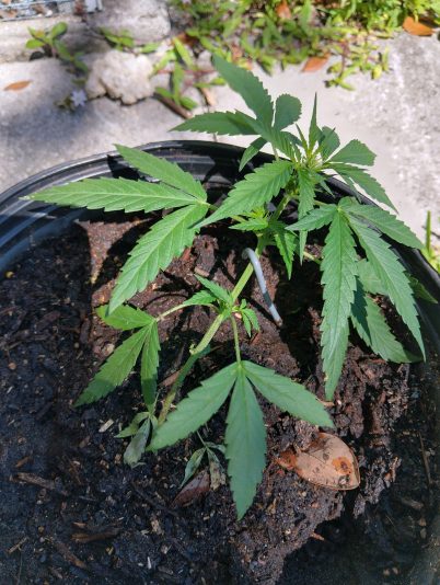 IMG_20250930_123057_HDR