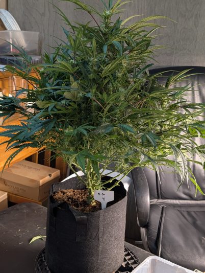 PXL_20251111_001053465