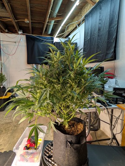 PXL_20251111_001110948