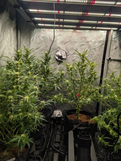 PXL_20251111_021501973