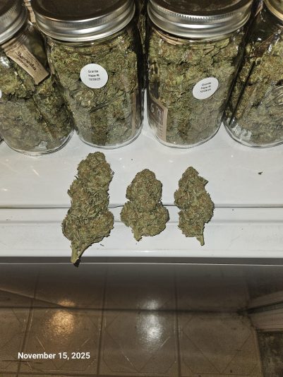 Granite Haze f6 Nov 15 2025