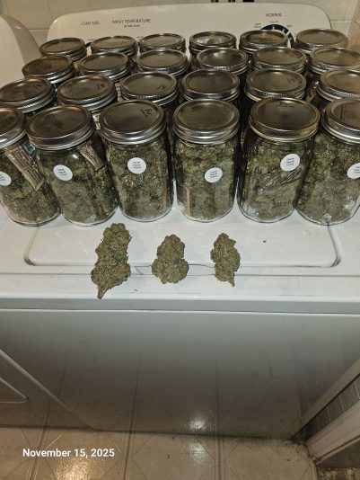 Granite Haze f6 Nov 15 2025 1