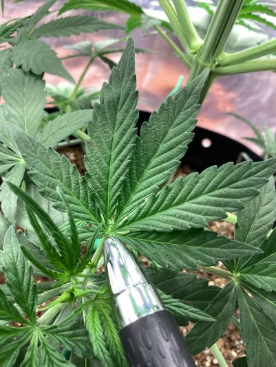 3E83A61A-15C3-4378-A929-B13621CCEE4C