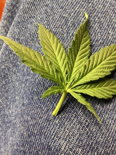 D0A0E231-3BE6-45E7-ACDB-DCB138A5A6AE