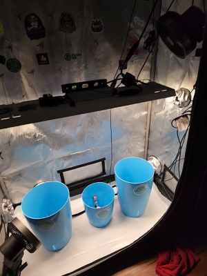 e3c43abf-3c56-4012-a55a-a6b41ea3018d