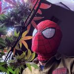 Profile photo of SPIDER-REEFER