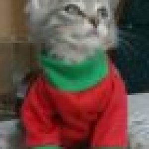 Profile photo of baby-satan-and-the-gang