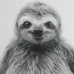 Profile photo of greenersun