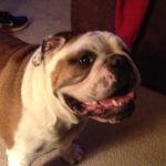 Profile photo of _JB_