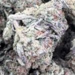 Profile photo of OS-Guerilla-Grower