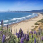 Profile photo of DaduGrows