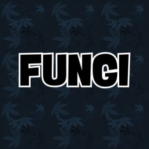 Group logo of Fungi