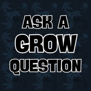 Group logo of Ask a Grow Question